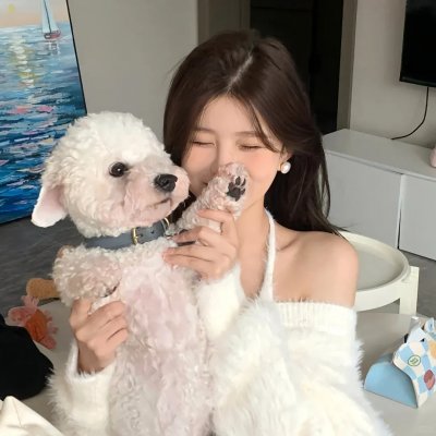 闹剧谜案